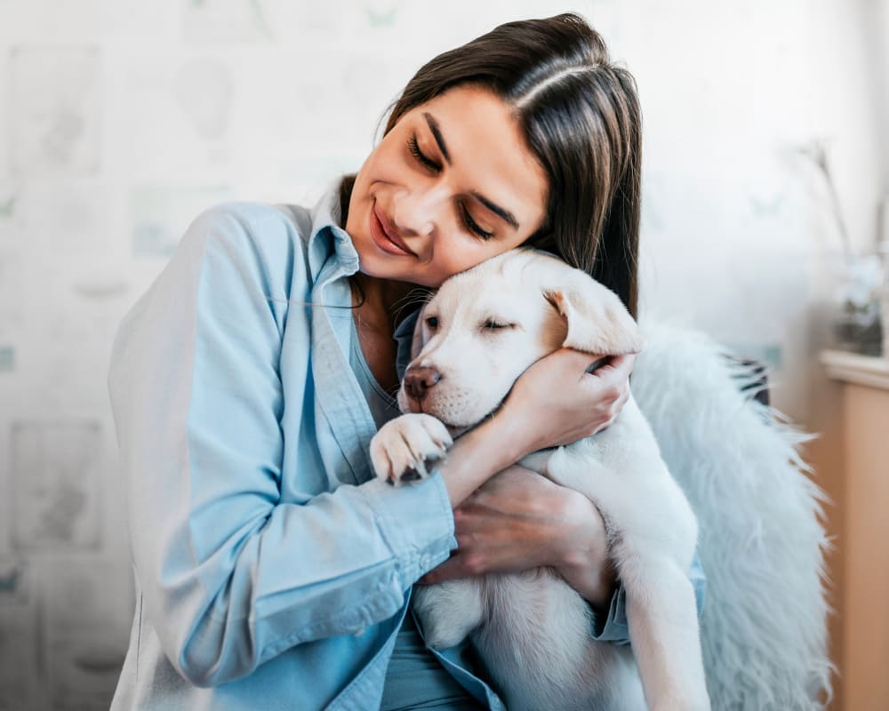 Veterinary Critical Care at Long Island Vet