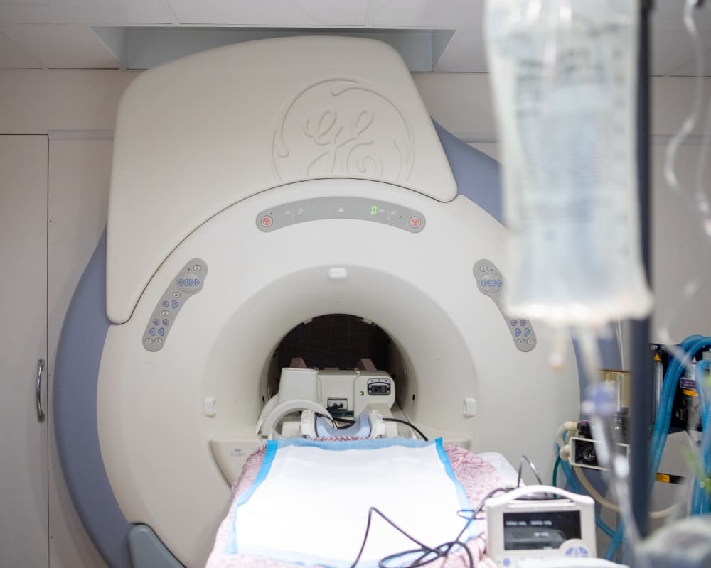 MRI (Magnetic Resonance Imaging), Long Island Vet